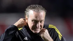 - Cuca está desempregado no mercado