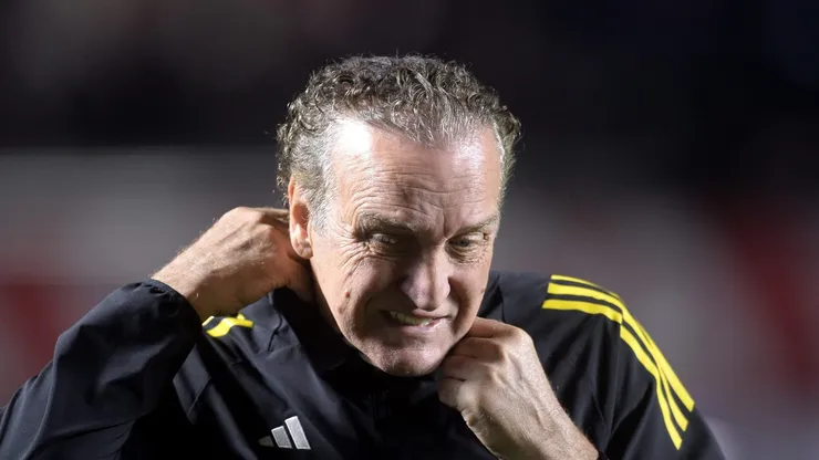- Cuca está desempregado no mercado