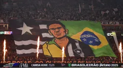Torcida do Botafogo fazendo a festa no Nilton Santos. Foto: Thiago Ribeiro/AGIF.