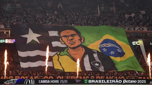 Torcida do Botafogo fazendo a festa no Nilton Santos. Foto: Thiago Ribeiro/AGIF.