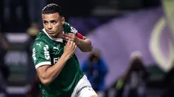 Robson renovou com o Palmeiras. Foto: Guilherme Veiga/C2 Sports