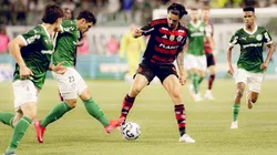 Palmeiras x Flamengo em maio, pelo Brasileirão Betano 2025 (Adriano Fontes/Flamengo)