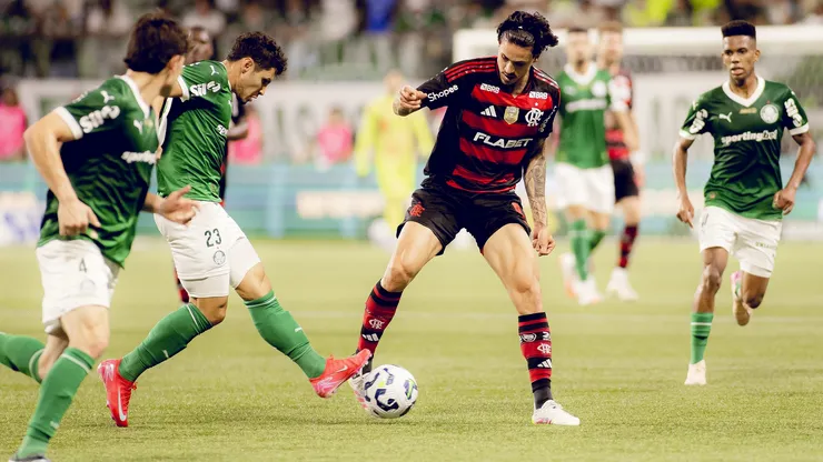 Palmeiras x Flamengo em maio, pelo Brasileirão Betano 2025 (Adriano Fontes/Flamengo)