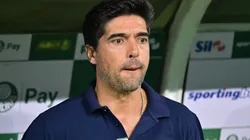 Abel Ferreira no comando técnico do Palmeiras - Foto: Jota Erre/AGIF
