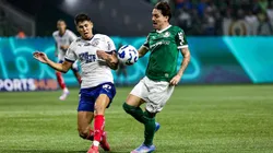 Bahia x Palmeiras se enfrentam pelo Campeonato Brasileiro A 2025. Foto: Fabio Giannelli/AGIF