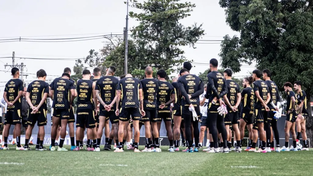 Elenco do Santos no campo. Foto: Raul Baretta/ Santos FC