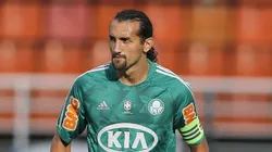 Barcos atuando pelo Verdão no Paulistão de 2013