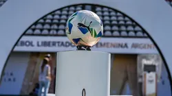 Libertadores 2025. Foto: reprodução/Instagram/@libertadoresfem