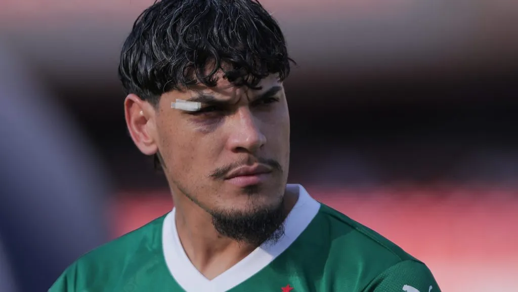 Gustavo Gómez durante partida. Foto: Ettore Chiereguini/AGIF