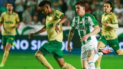 Palmeiras possui boa vantagem quando enfrenta o Juventude