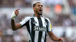 Joelinton no Newcastle - Foto: Stu Forster/Getty Images