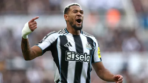Joelinton no Newcastle - Foto: Stu Forster/Getty Images