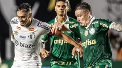 CBF definiu data para Santos x Palmeiras atrasado e Clássico da Saudade será disputado duas vezes em novembro - Foto: Raul Baretta/Santos FC