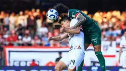 Lance polêmico em São Paulo x Palmeiras. Foto: Marcello Zambrana/AGIF