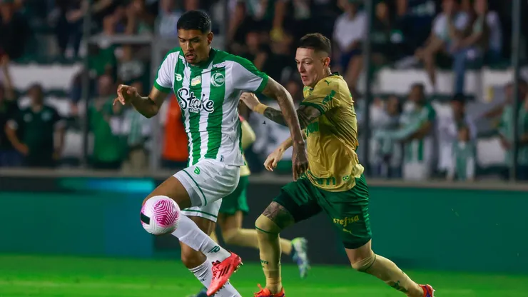 Palmeiras x Juventude se enfrentam pelo Campeonato Brasileiro A 2024. Foto: Luiz Erbes/AGIF