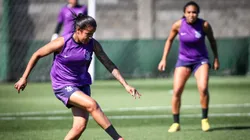 Corinthians se prepara para semifinal da Libertadores - Foto: Rodrigo Gazzanel / Agência Corinthians