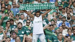 Torcida do Palmeiras parece abraçar time na reta final do Brasileirão Betano