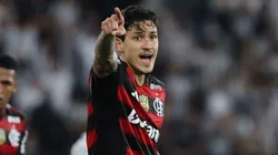 Pedro, atacante do Flamengo em partida pelo campeonato brasileiro (Foto: Wagner Meier/Getty Images)