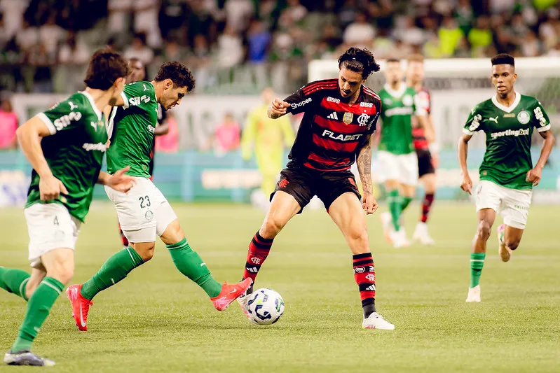 Flamengo venceu o Palmeiras no 1º turno do Brasileirão. Foto: Adriano Fontes/Flamengo