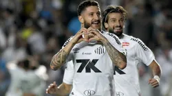 Santos segue na briga contra o rebaixamento no Brasileirão. Foto: Mauricio De Souza/AGIF