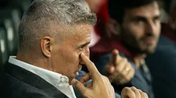 São Paulo de Crespo é preterido nos palpites do GE e torcida tricolor confirma pessimismo — Foto Fernando MorenoAGIF