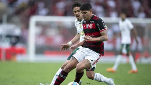 Flamengo e Palmeiras se enfrentam no Maracanã. Foto: Jorge Rodrigues/AGIF