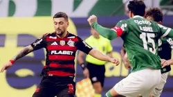 Arrascaeta em Flamengo x Palmeiras - Foto: Adriano Fontes / Flamengo