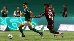 Flamengo e Palmeiras se enfrentam pelo Brasileirão. Foto: Cesar Greco/Palmeiras