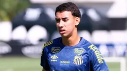 Bontempo projeta evolução da equipe