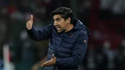 Abel Ferreira mudou planejamento e Palmeiras vai com força total diante do Cruzeiro - Foto: César Greco/Ag. Palmeiras