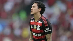 Pedro jogador do Flamengo durante partida contra o Gremio no estadio Maracana pelo campeonato Brasileiro A 2025. Foto: Thiago Ribeiro/AGIF