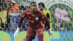 Carlos Miguel, goleiro do Palmeiras em partida pelo campeonato brasileiro (Foto: Alexandre Schneider/Getty Images)