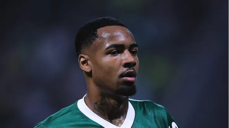 Allan durante partida do Verdão no Allianz Parque, em São Paulo.