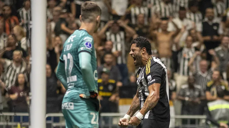 Del Valle parabenizou o Galo após classificação