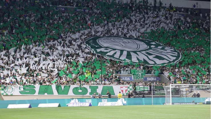 Torcida Palmeirense. Foto: Ettore Chiereguini/AGIF