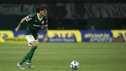 Levantamento revela que Palmeiras é o time mais goleador da história da Libertadores; veja os dez mais — Foto: Anderson Romão/AGIF