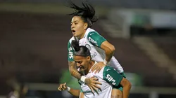 Palmeiras busca classificação antecipada no Paulista Feminino - Foto: Celio Messias/Ag.Paulistão