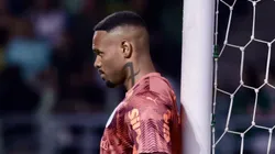 Carlos Miguel, goleiro do Palmeiras