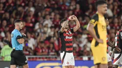 Arrasca comemorando gol na Série A. Foto: Thiago Ribeiro/AGIF