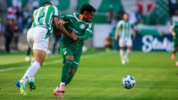 Facundo Torres jogador do Palmeiras durante partida contra o Juventude no estadio Alfredo Jaconi pelo campeonato Brasileiro A 2025. Foto: Luiz Erbes/AGIF