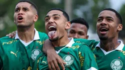 Riquelme Fillipi, atacante do Palmeiras