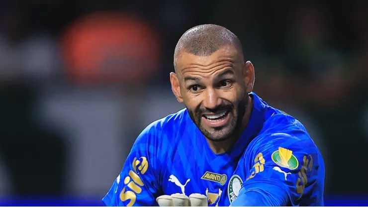 Weverton em ação com a camisa do Verdão.