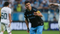 Luís Suárez brilhou com a camisa do Grêmio antes de jogar no Inter Miami, dos Estados Unidos