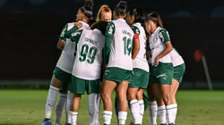 Palestrinas comemoram classificação. Foto: Fabio Menotti/Palmeiras