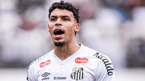 Meia vem fazendo bons jogos - Foto: Raul Baretta/Santos FC.