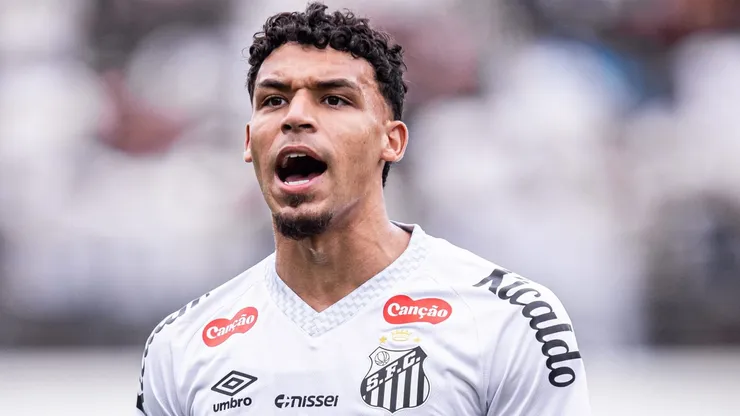 Meia vem fazendo bons jogos - Foto: Raul Baretta/Santos FC.
