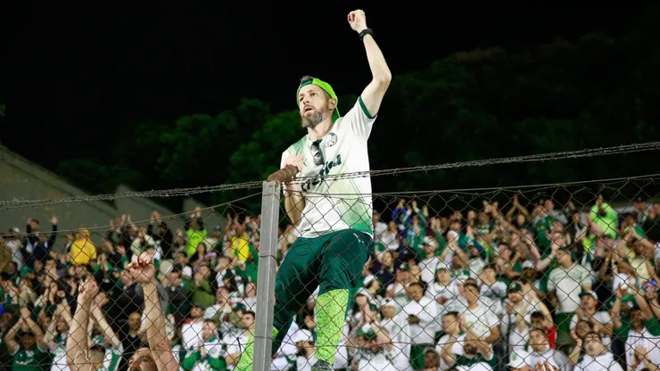 RS - CAXIAS DO SUL - 02/11/2025 - BRASILEIRO A 2025, JUVENTUDE X PALMEIRAS - Torcida do Palmeiras durante partida contra Juventude no estadio Alfredo Jaconi pelo campeonato Brasileiro A 2025. Foto: Luiz Erbes/AGIF