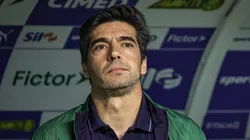 SP - SAO PAULO - 06/11/2025 - BRASILEIRO A 2025, PALMEIRAS X SANTOS - Abel Ferreira tecnico do Palmeiras durante partida contra o Santos no estadio Arena Allianz Parque pelo campeonato Brasileiro A 2025. Foto: Fabio Giannelli/AGIF