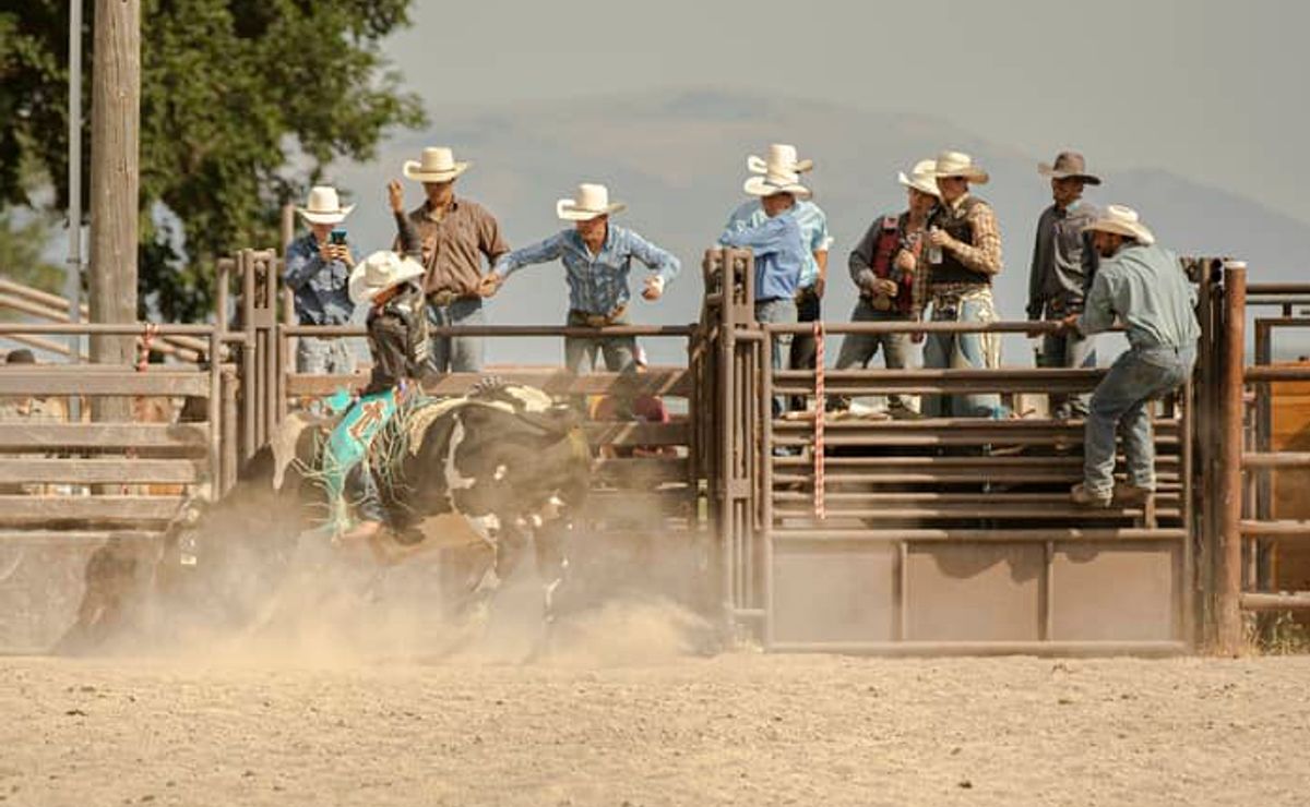 Como apostar em vaquejada? Melhores sites e dicas para iniciantes