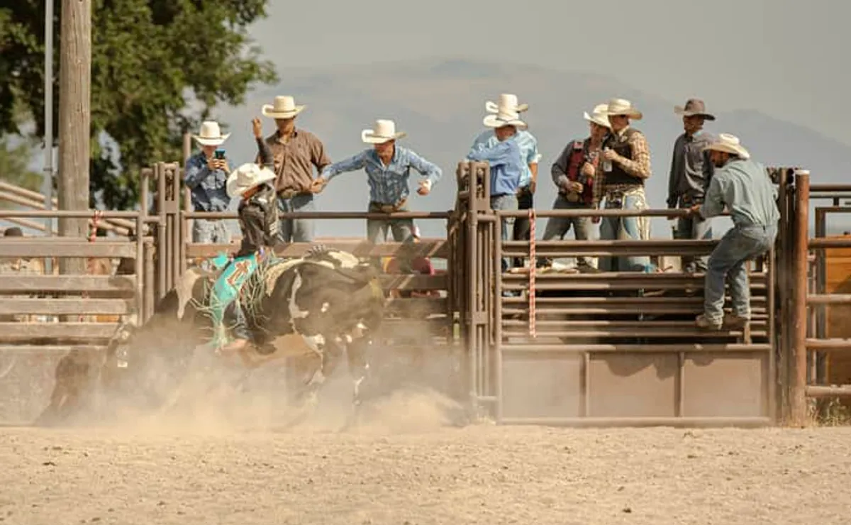Como apostar em vaquejada? Melhores sites e dicas para iniciantes